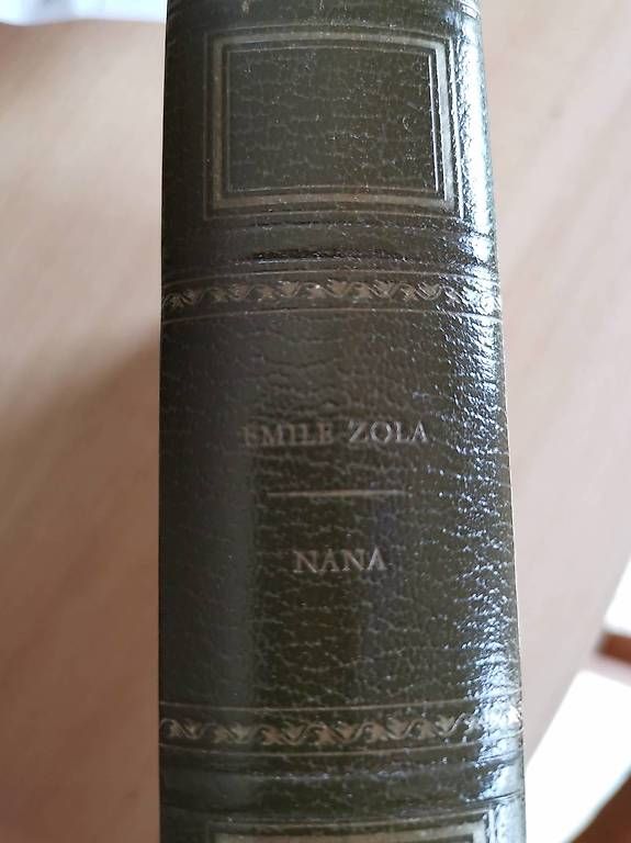 Bücher: Émile Zola - Nana – Gebraucht aus Vouvry von corvvin 1