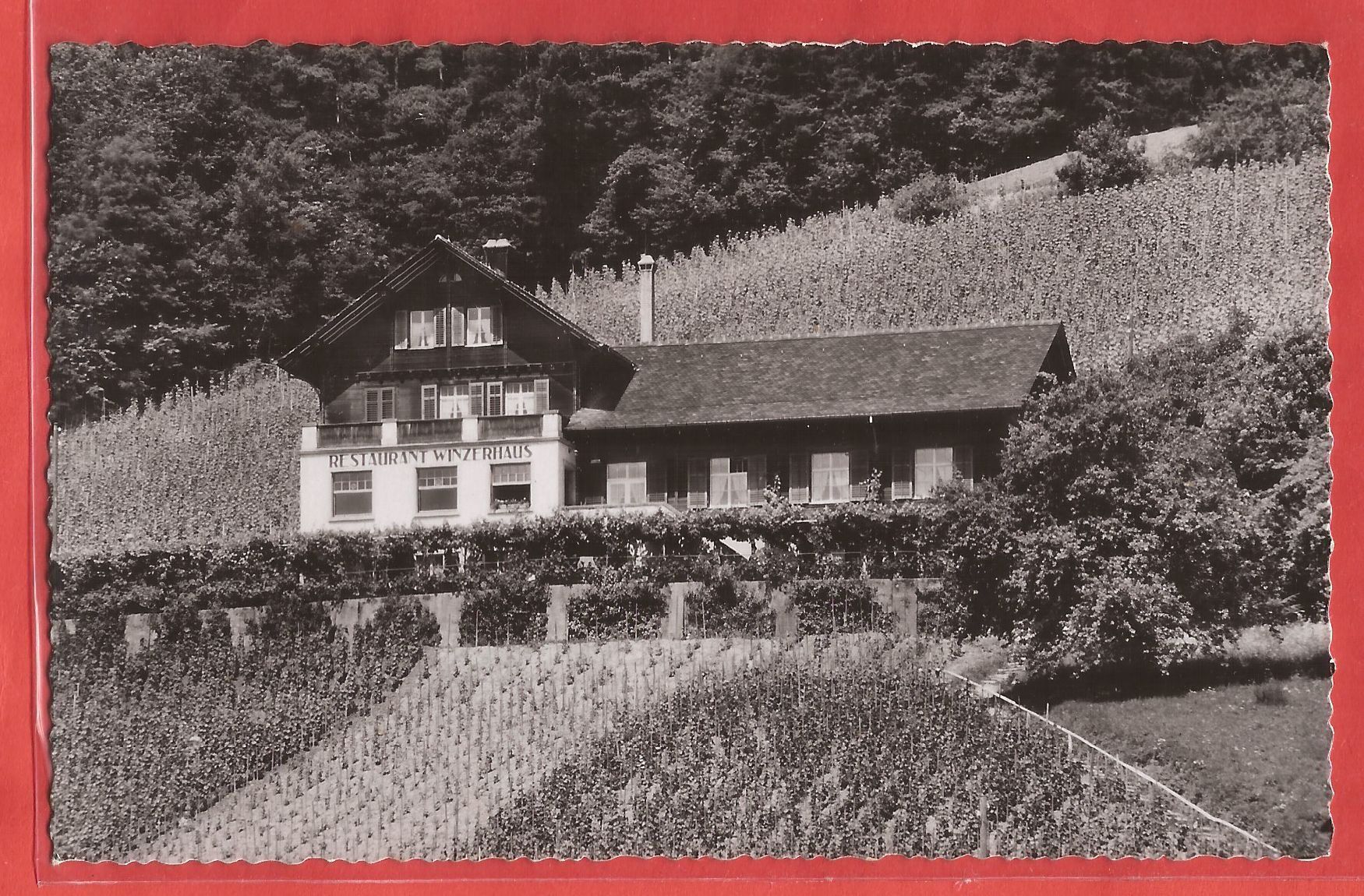 Ansichtskarten: Weiningen - Restaurant Winzerhaus - 1947 – Gebraucht aus Fislisbach von Porano
