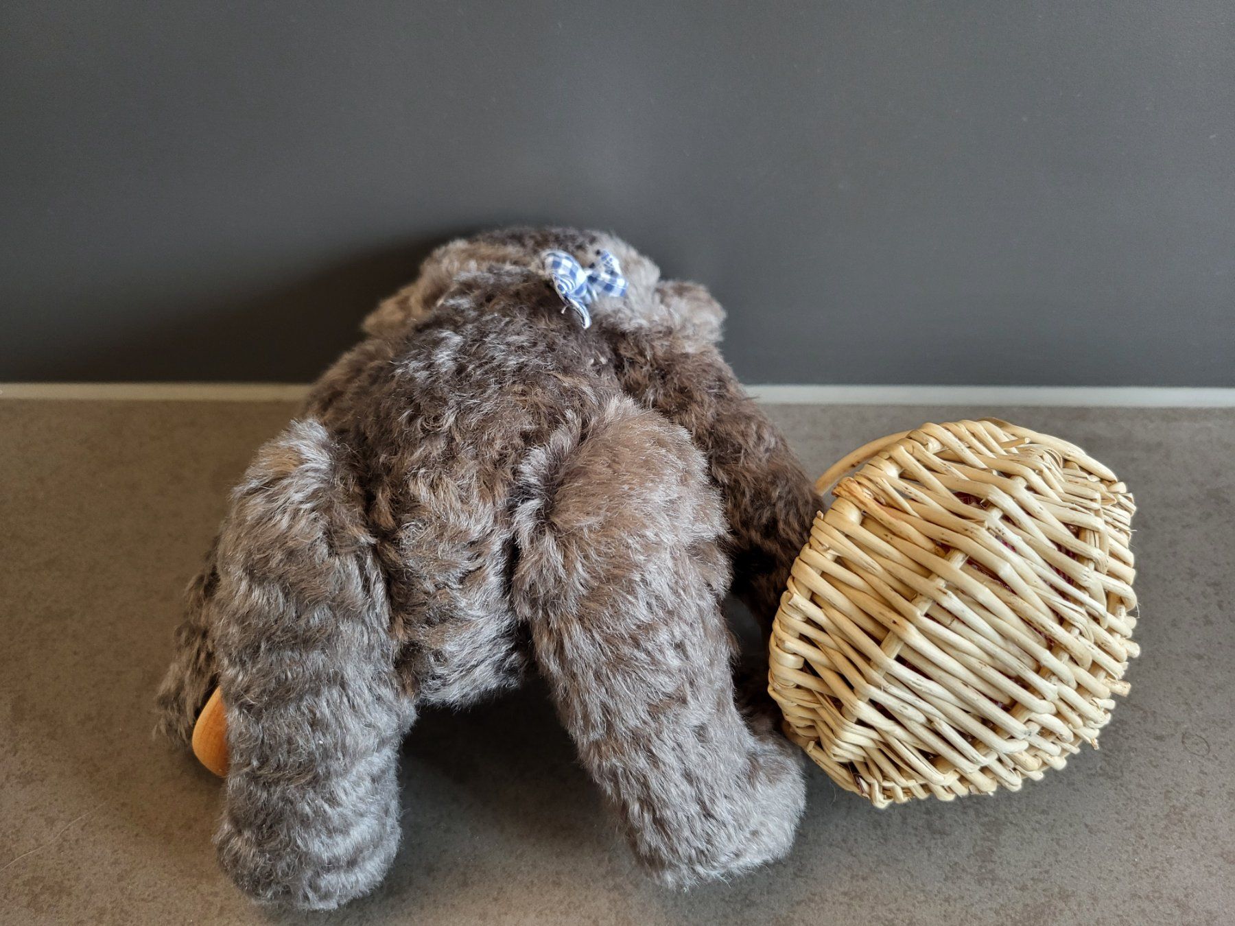 Steiff Spielzeuge: Steiff Teddybär – Neu (gemäss Beschreibung) aus Zürich von Orchidee 3