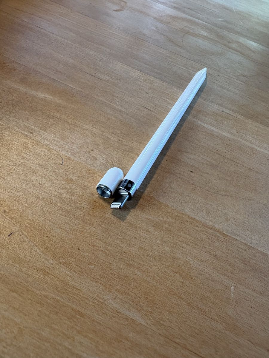 Apple Penna & Evidenziatori: Apple Pencil 1. Generation, Gebraucht – Usato da Bern venduto da S1las 1