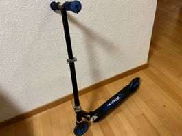 Trotti