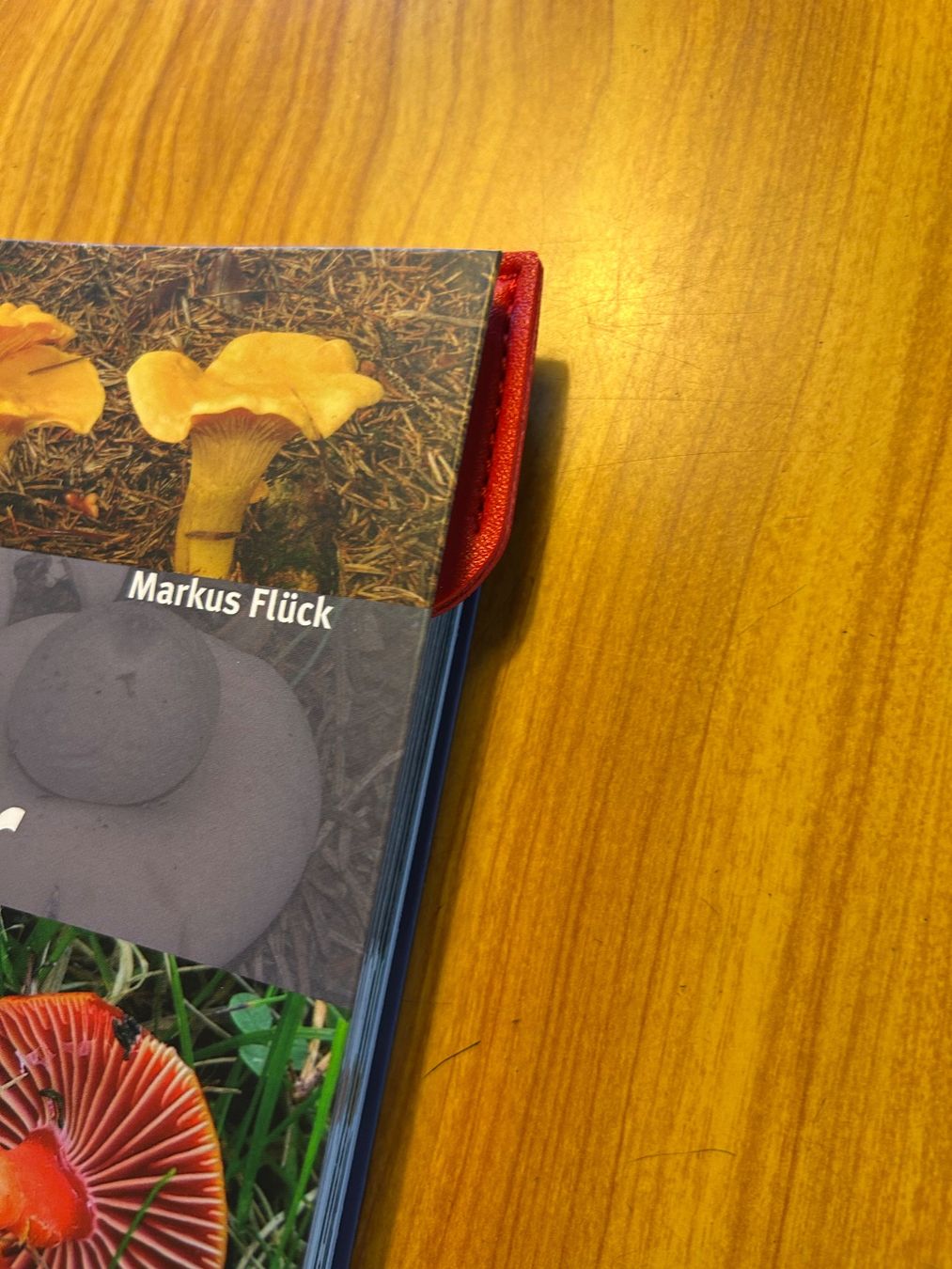 Altre raccolte & rarità: Buchzeichen Lesezeichen Buch Herz Kunstleder – Nuovo (secondo la descrizione) da Steffisburg venduto da smocky17 3