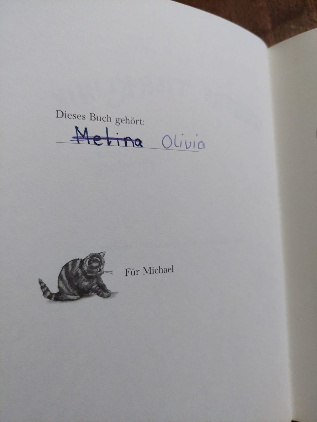 Livres: Unsere Tierklinik, Kätzchen vermisst – D'occasion à Bächli (Hemberg) par Stern015 2