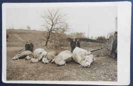 La Chaux-de-Fonds, Cyclone, 6 Opfer-Victimes, 1926