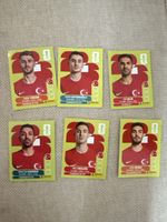 panini sticker turkei