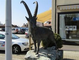 Steinbock in Lebensgrösse  - Bronze                 (Nr.18)