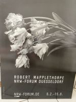 Robert Mapplethorbe Plakat auf Aluminium aufgezogen