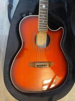 Hohner Professional, Gitarre, Bridge Shadow Installed
