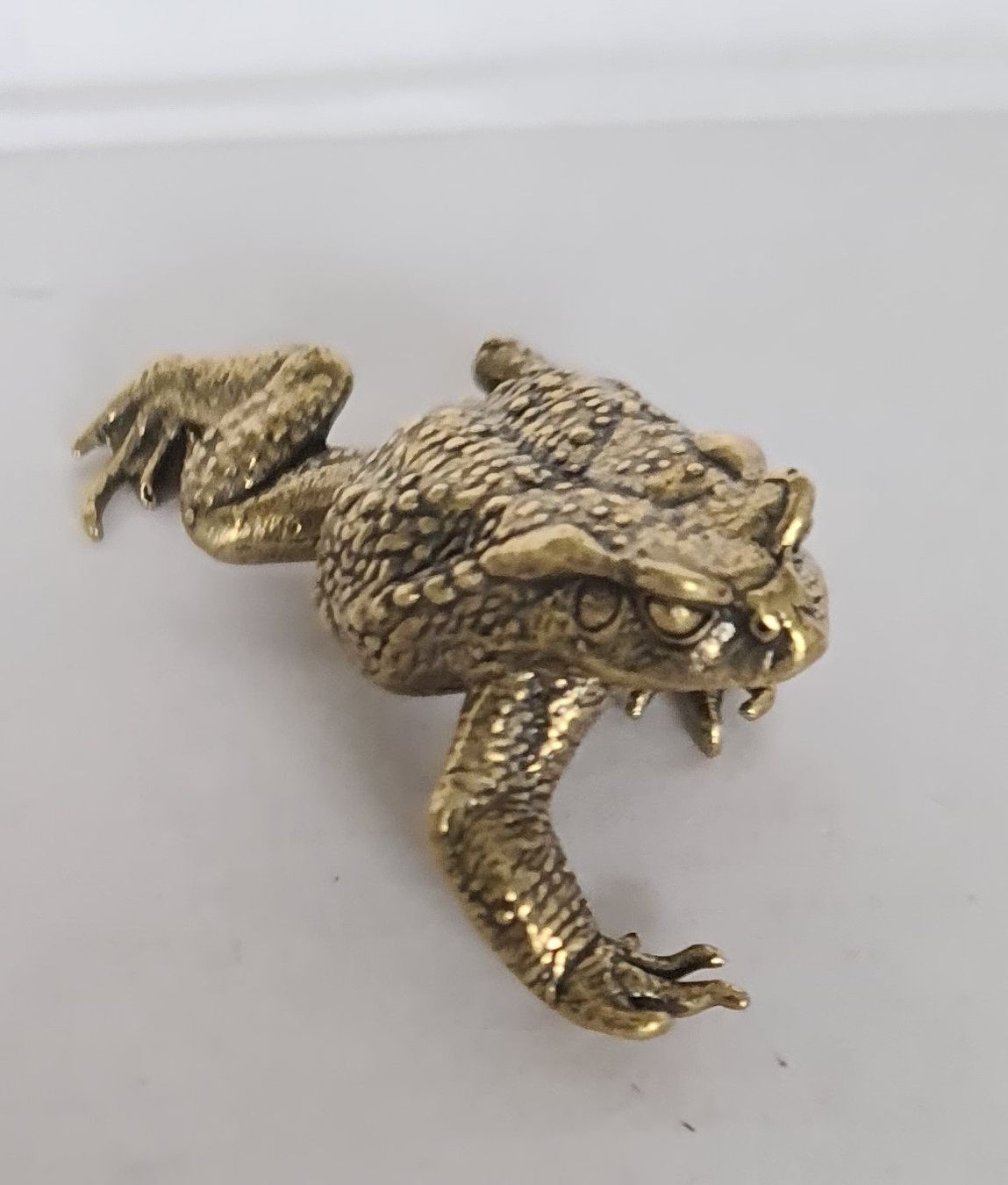 Statuette: Kröte Frosch aus Messing – Nuovo (secondo la descrizione) da Uerkheim venduto da Kaufoption 1