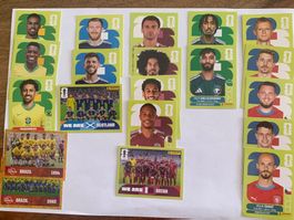 Panini Sammelbilder 2026