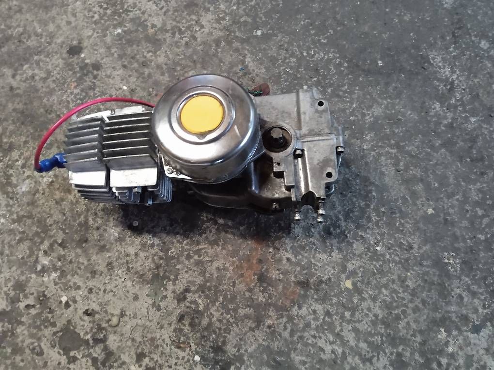 Motori: Puch n/s Motor – Usato da Fulenbach venduto da Elektronik 1