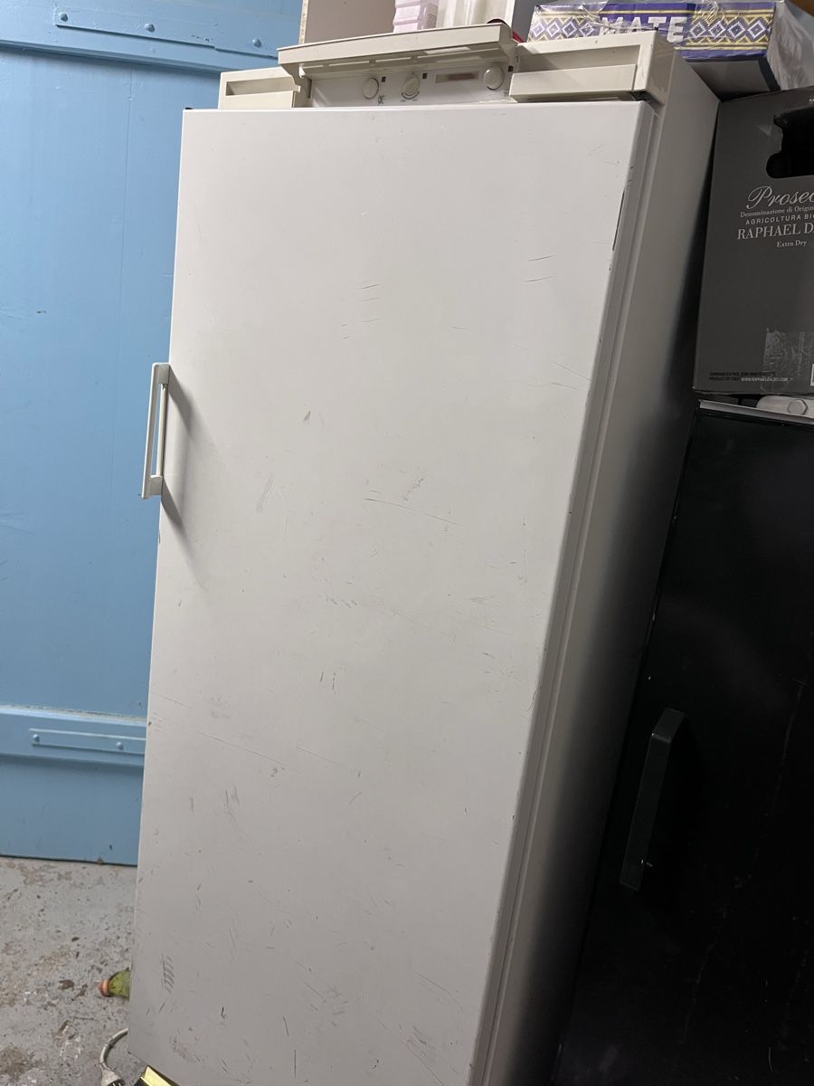 Congelatori: Electrolux Gefrierschrank – Usato da Wallisellen venduto da Joo23 1