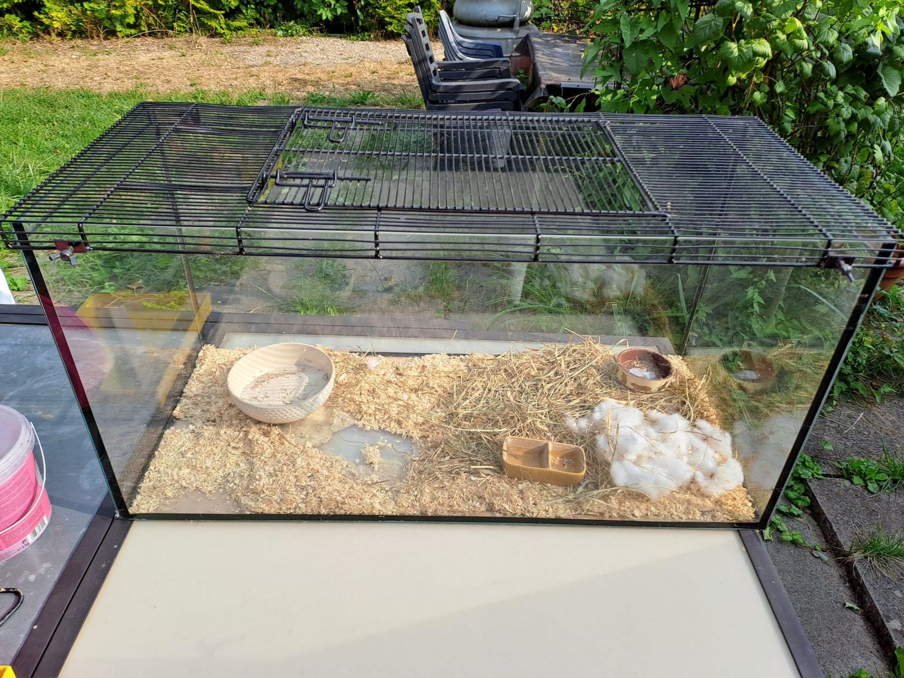 Terrariums: Terrarium 80X40X40 – D'occasion à Delémont par mvl_l76c 1