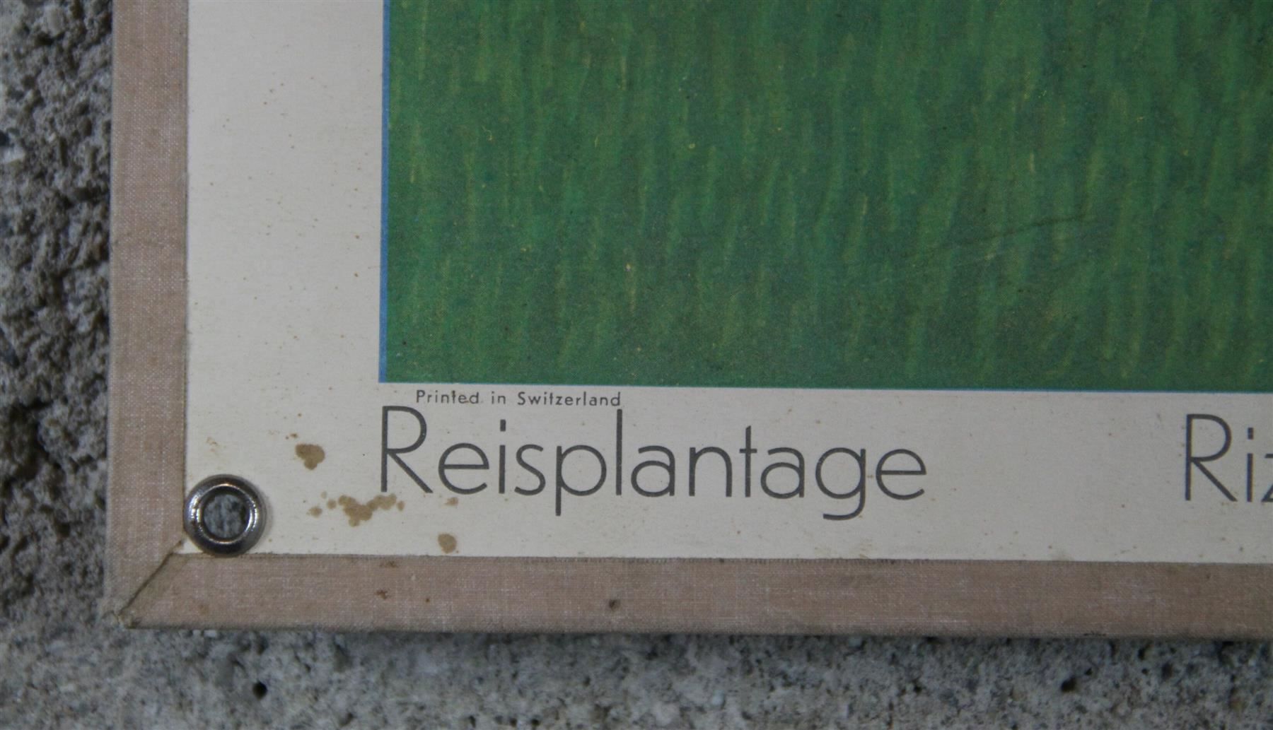 Foto & Immagini: Schulwandbild "Reisplantage" G. Item – Usato da Birrwil venduto da brandschatz_birrwil 5