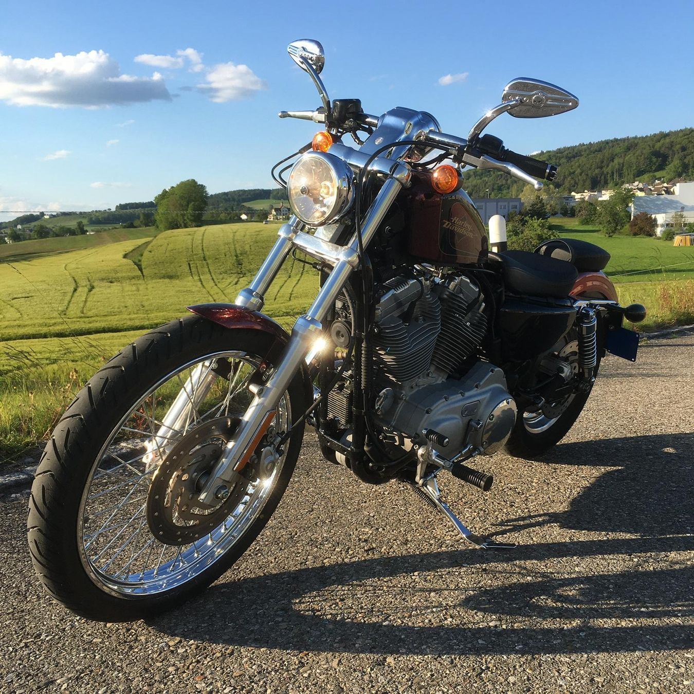 Harley-Davidson Chopper: HARLEY-DAVIDSON XL883C 25kW – Usato da Wil SG venduto da Prof.Eich