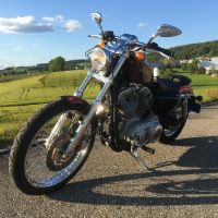 HARLEY-DAVIDSON XL883C 25kW