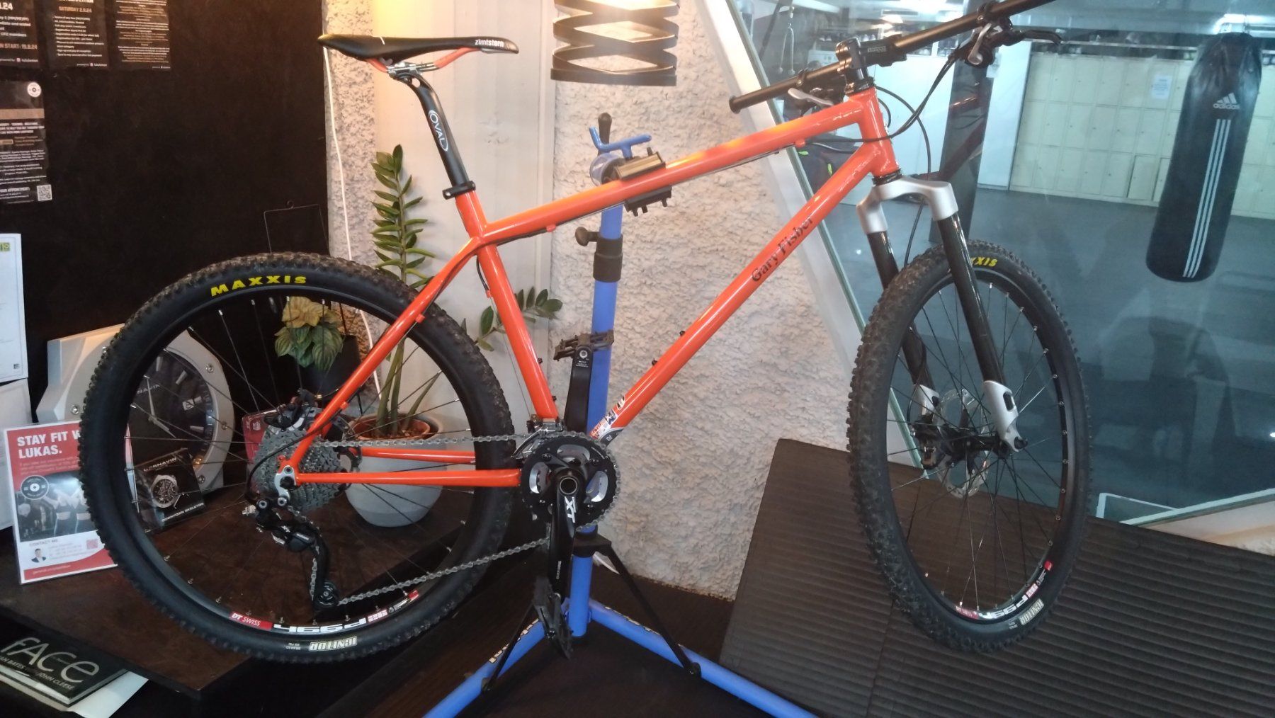 Mountainbike, Gary Fisher, Carbon, Hardtail, Special edition (Gebraucht ...
