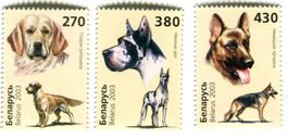 Briefmarken Deutsche Schäferhund Deutsche Dogge Weissrusslan