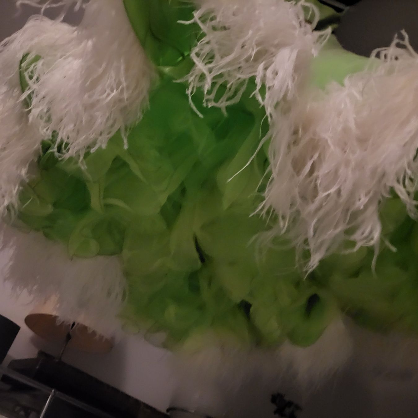 Vestiti: Ballkleid grün 36/38 – Usato da meisterschwanden venduto da ursm03 1