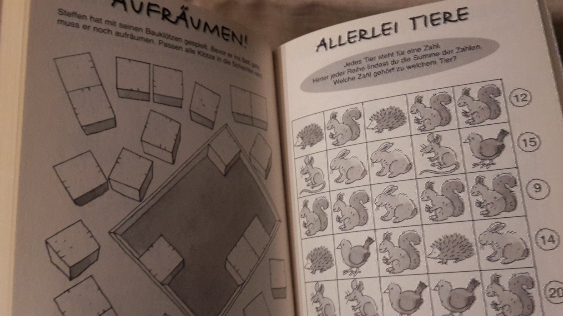 Libri: Super logische Denkspiele – Nuovo (secondo la descrizione) da Schwarzenburg venduto da Flamingo07 1
