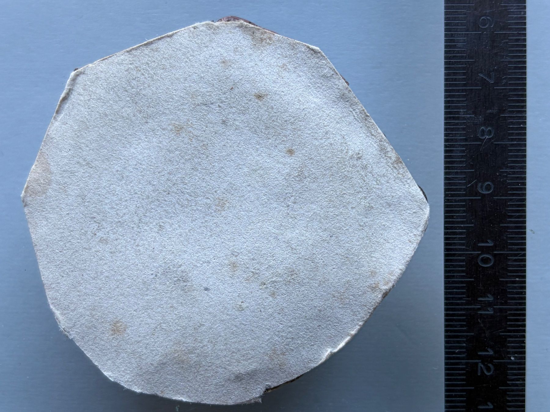 Medaglie: RÉPUBLIQUE BERNE- 2 Cachets Fin 19ème Siècle - Cire & Papier – Usato da LE LIGNON venduto da Katanaion 2