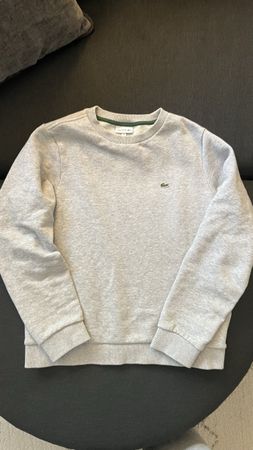 Lacoste Pullover