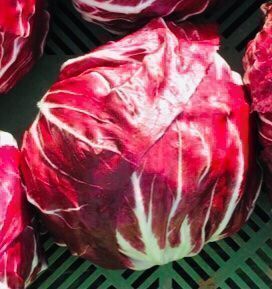 Pflanzen & Samen: 100 SAMEN ROTE ZICHORIE VON VERONA – Neu und originalverpackt aus Rovio von POSITIFFARTandPLANTS 4