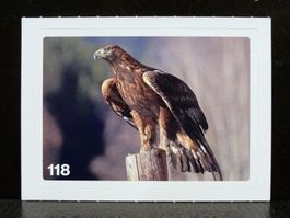 MIGROS MANIA Nature Detectives Nr. 118