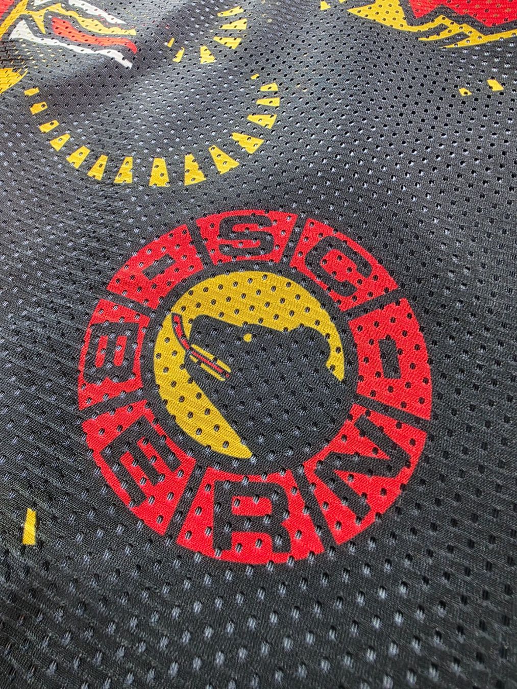 Canottiere & Pantaloni: SC BERN TRIKOT – Usato da Lüchingen venduto da Jersey_Time 2