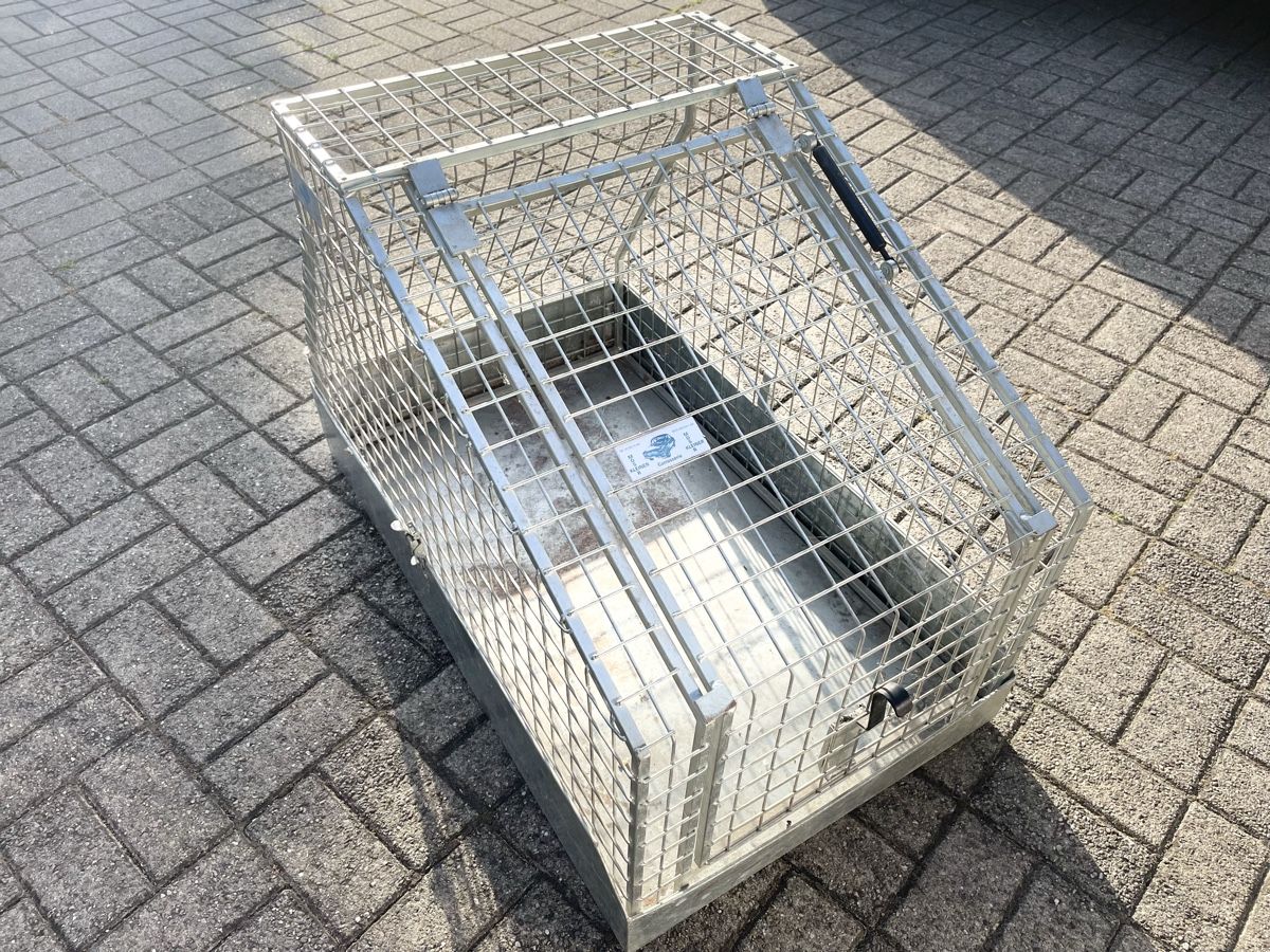 Käfige, Transport & Sicherheit: Gebrauchte Auto Transportbox / Hunde Transportbox, MOSR – Gebraucht aus Heimenhausen von Bufnof