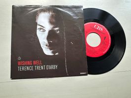 TERENCE TRENT D'ARBY tolle Single 80s Kult Hit Wishing well