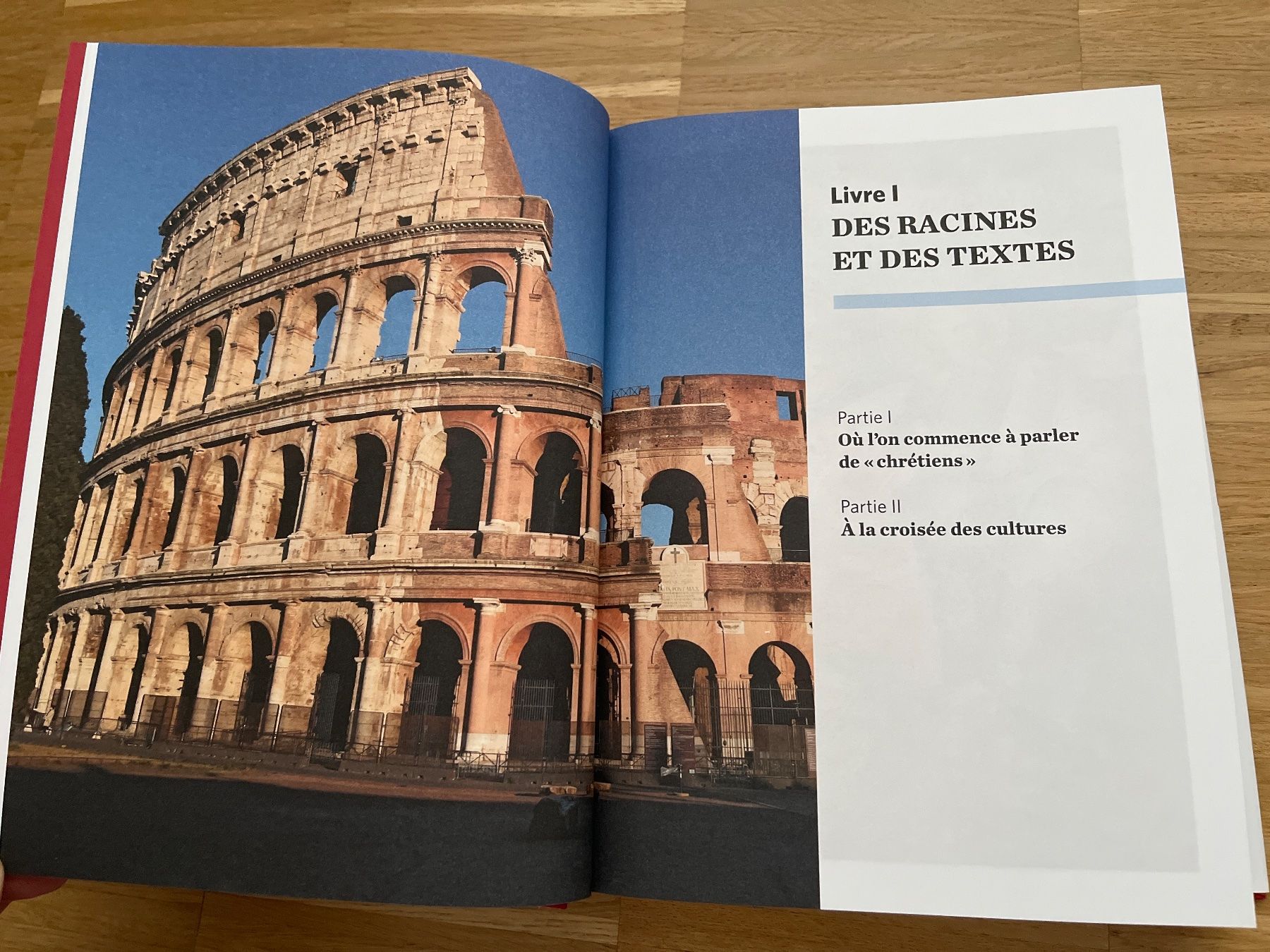 Libri: Livre histoire du christianisme – Nuovo e nell'imballaggio originale da Genève venduto da Lalafanny66 1