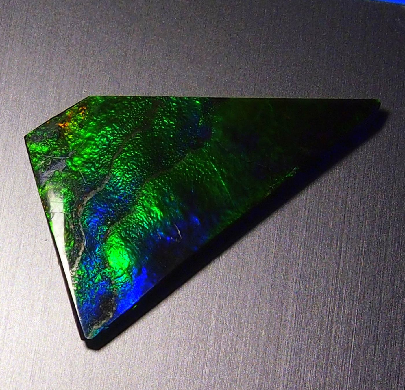 Fossili: 17  Karat Natural funky GEM Ammolite AAA! – Nuovo e nell'imballaggio originale da Reinach BL venduto da Marblue 3