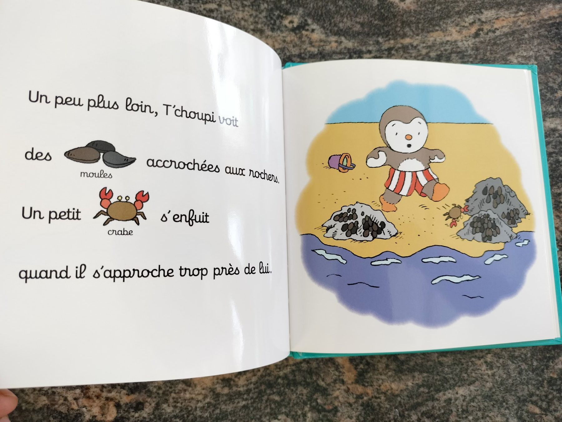 Livres: T'choupi à la plage – D'occasion à Cortaillod par rozinna 9
