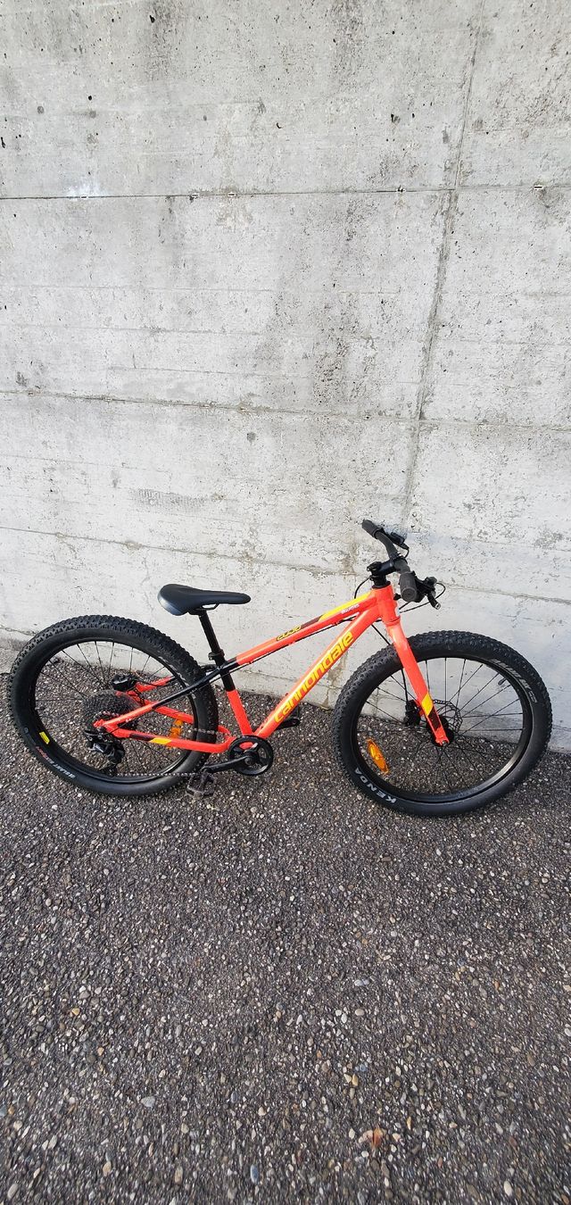 Cannondale Velos: VTT 24 pouces – Gebraucht aus Sonceboz-Sombeval von Kayia 1
