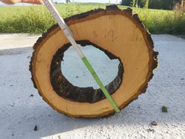 Nussbaum Holzscheibe Nr. 2 Dekoration