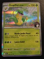 Empiflor d'Erika Holo (006/217) - Héros Transcendants