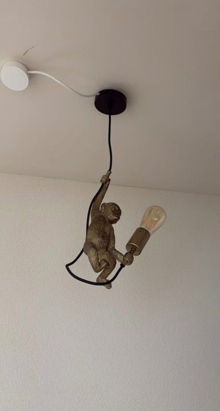 Lampadari & plafoniere: Affe Deckenlampe mit Edison Glühbirne -  Monkey Light – Usato da Zürich venduto da maral787 1