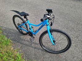 Naloo  24 Zoll