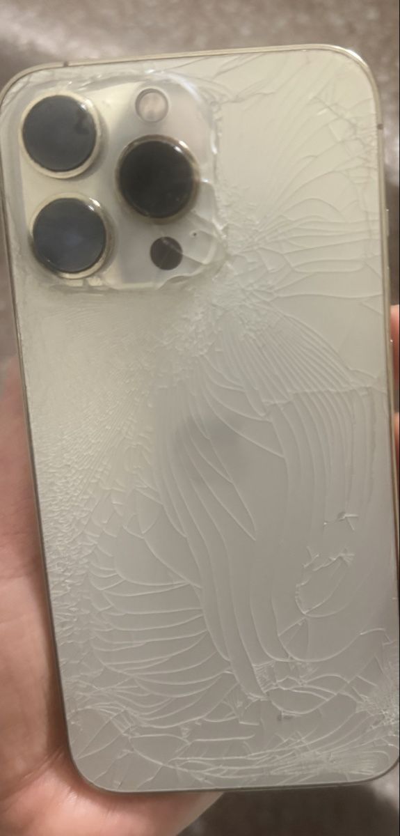Apple Telefoni cellulari / Smartphones: iPhone 13 Pro 256 GB  – Usato da Bonstetten venduto da mer_7s6y 2