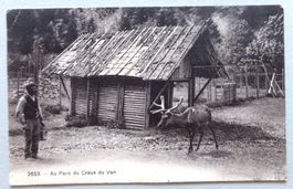Au Parc du Creux du Van