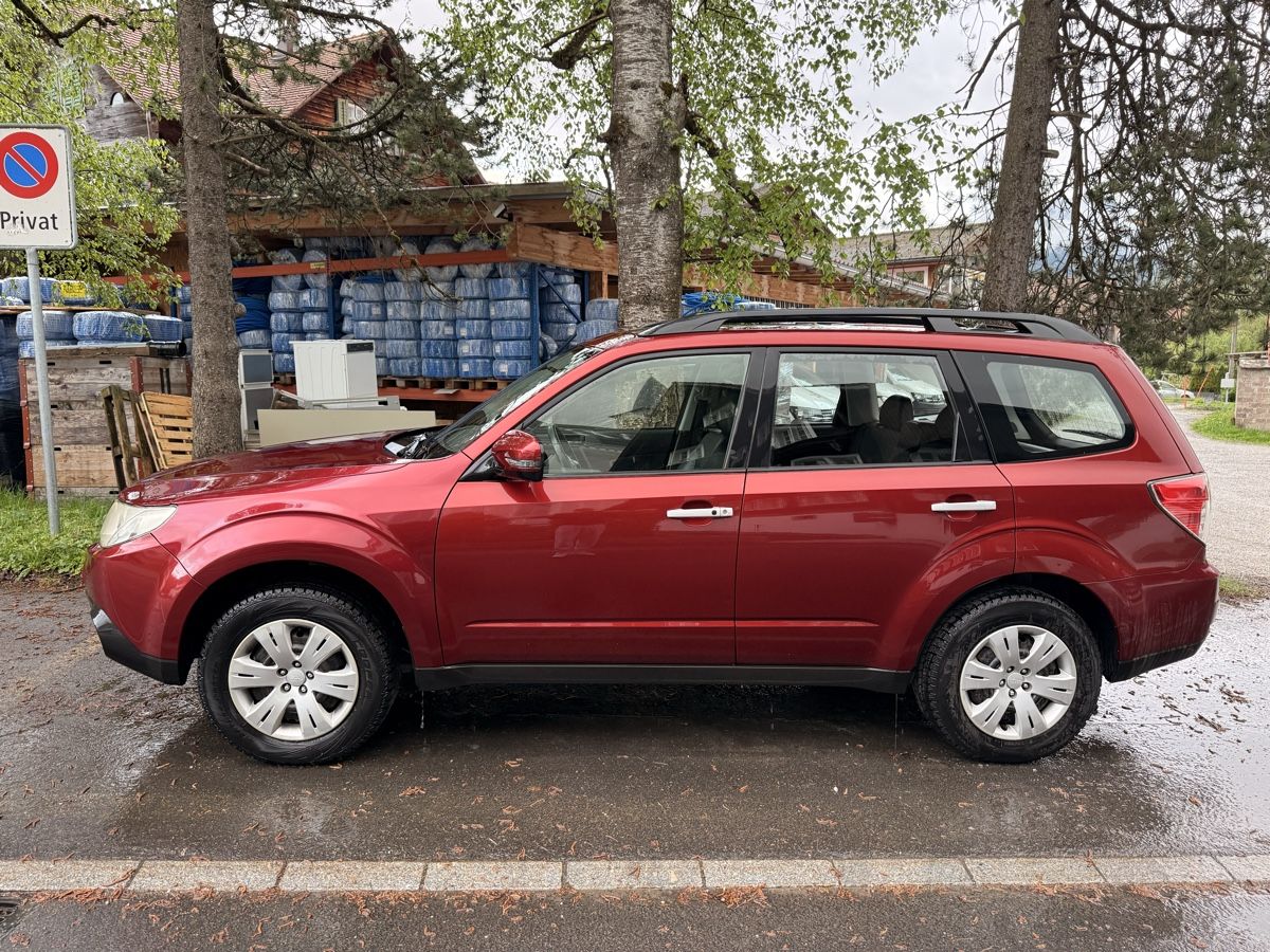 Subaru Automobili: Subaru Forester 4x4 Automat mit MFK & Service – Usato da Rothenthurm venduto da JanFuechslin