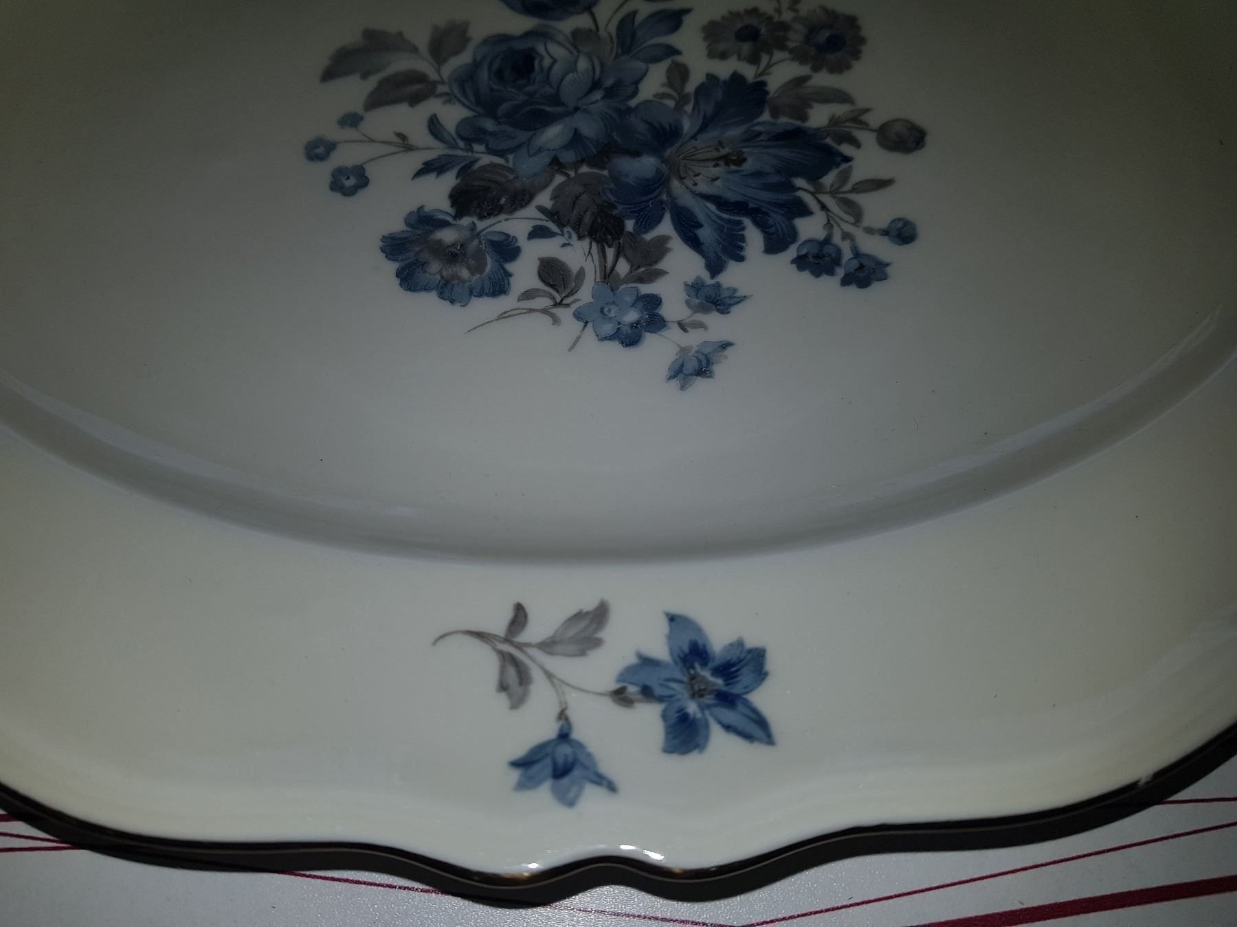 Piatti: assiette ovale EPIAG CZECHOSLOVAKIA – Usato da Cossonay-ville venduto da Super-Price-Quality 7