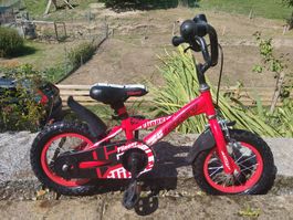 Kinderfahrrad Flipper Leopard 12 Zoll rot gebraucht