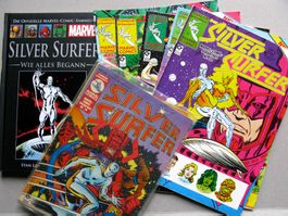 Silver Surfer Sammlung deutsch