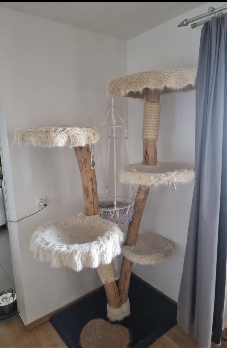 Tiragraffi: Katzenkratzbaum aus Naturholz – Usato da Regensdorf venduto da dan_p2pm