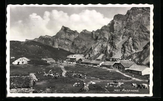 Cartoline postali: Anzeindaz, Kühe auf der Weide, Refuce R – Usato da Berlin venduto da bartko-reher