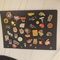 100 stück pin sammlung