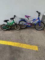 Zwei kindervelo