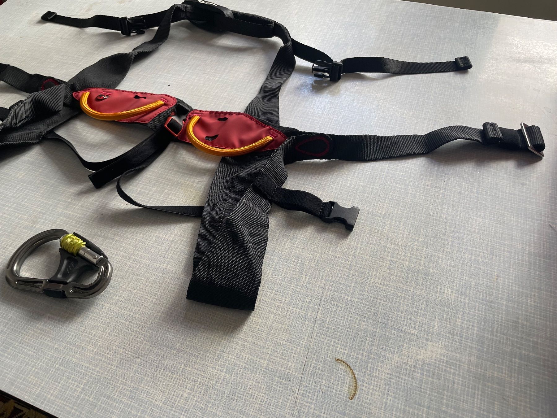 Mammut Attrezzatura da arrampicata: Klettergurt – Usato da Rudolfingen venduto da rita.nussbaumer 4